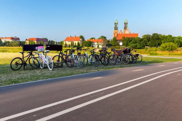 Poznan. Catedral en la isla Tumskiy en una soleada noche de verano. — Foto de Stock