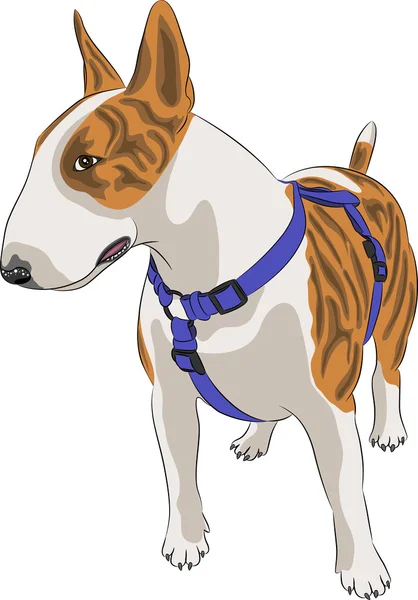Vettore cane razza Bull Terrier — Vettoriale Stock