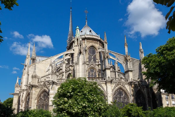 Notre Dame, Paris. France — Stock Photo, Image