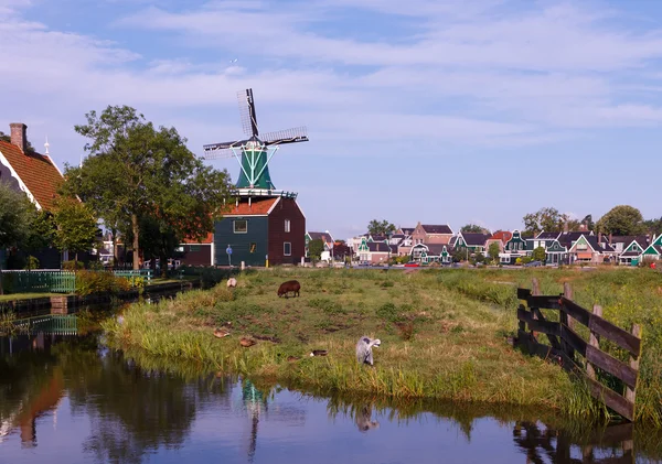 Nigtevecht. — Stockfoto