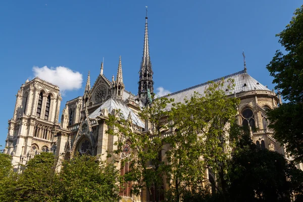 Notre Dame, Paris. França — Fotografia de Stock