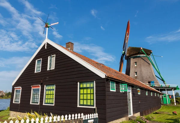 Mulini a vento in Olanda . — Foto Stock