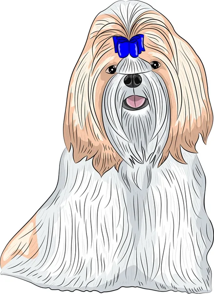 Vektör köpek doğurmak Shih Tzu.