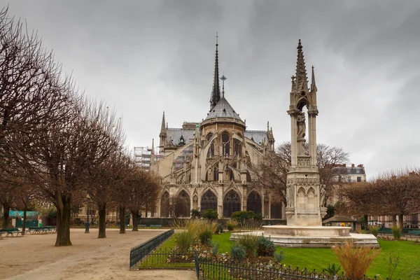 Paris. Notre Dame. — Stok fotoğraf