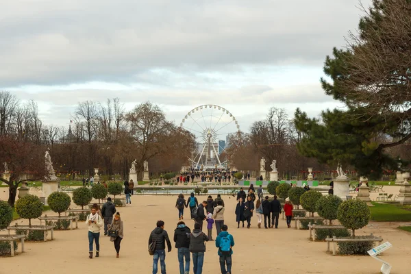 Paris. Tuileries Gardens. — Stock Photo, Image