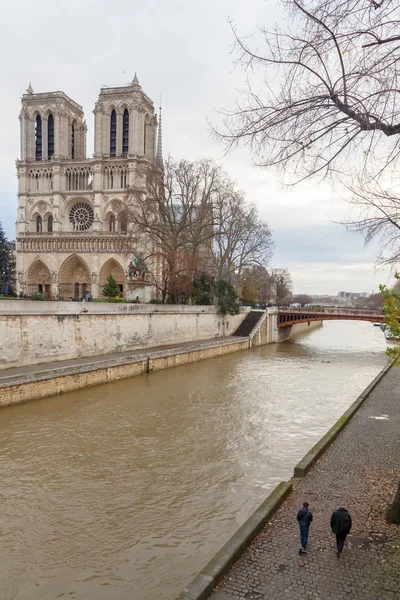 París. Notre Dame . —  Fotos de Stock