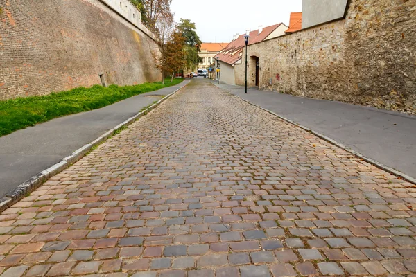 Prague. — Stock Photo, Image