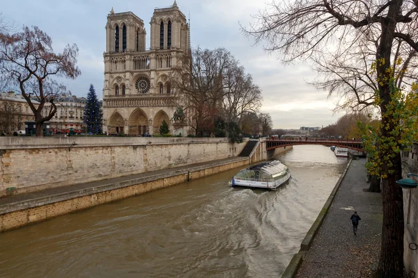 Parijs. Notre Dame. Kerstmis. — Stockfoto