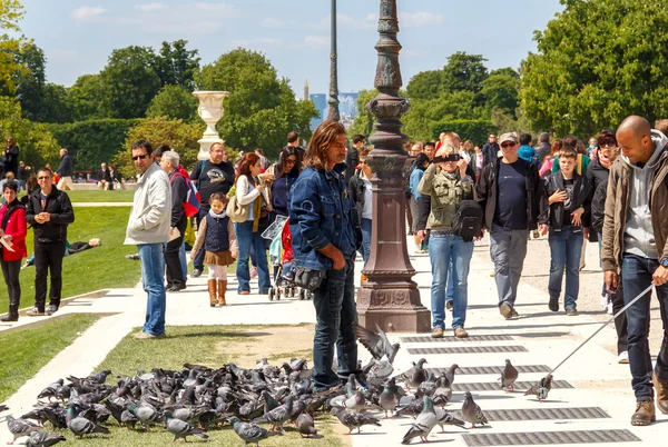 París. Jardín de Tullerías. — Foto de Stock