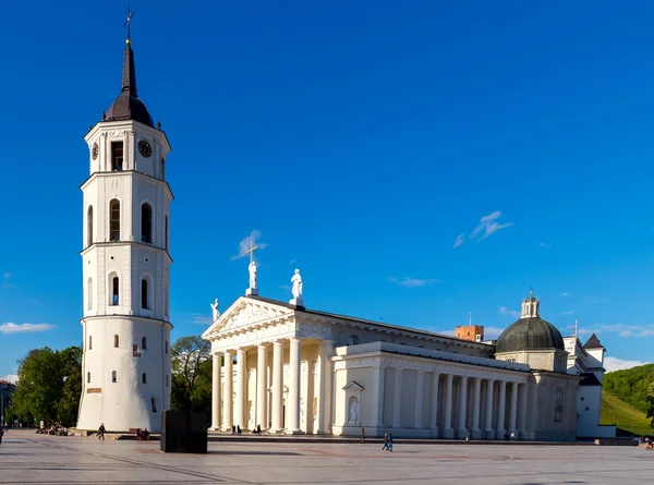 Vilnius. Lithuania. Cathedral Square. — Stock Photo, Image