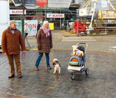 Gent. A dog in a baby carriage.