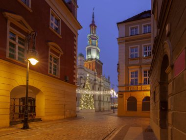 Poznan, Polonya 'daki Eski Pazar Meydanı' nda aydınlatılmış Poznan Belediye Binası 'nın önündeki Noel ağacı