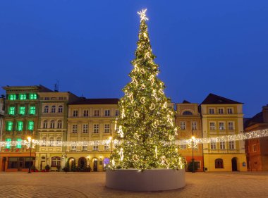 Polonya 'nın Poznan kentindeki Eski Pazar Meydanı' nda kışın mavi saatinde aydınlatılmış Noel ağacı.