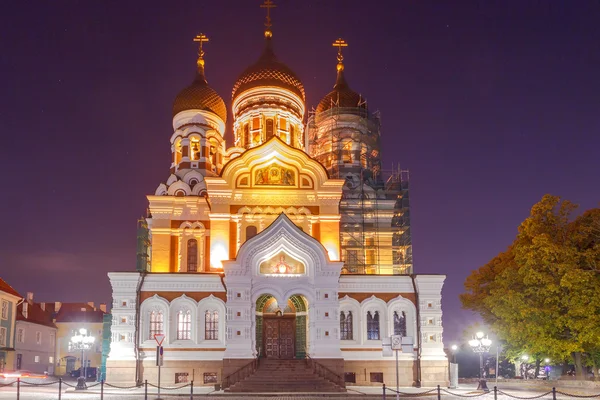 탈린입니다. 알렉산더 Nevsky 교회. — 스톡 사진