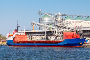 Gdansk. Kargo liman içinde terminal toplu.