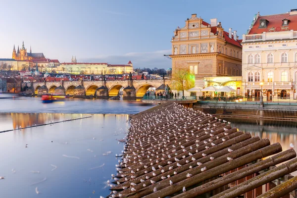 Pemandangan istana Praha. Republik Ceko . — Stok Foto