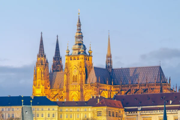 Prag. St vitus cathedral. — Stockfoto