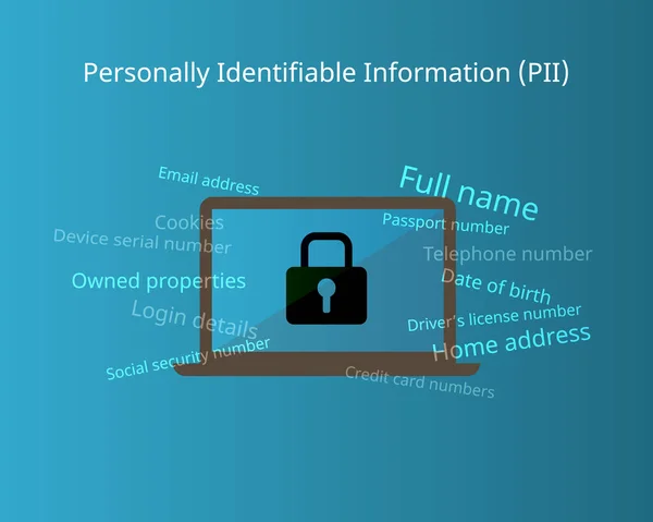 Hassas veriler için kişisel tanımlanabilir bilgi (PII)