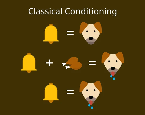 classical conditioning or Pavlovian or respondent conditioning for learning new stimulus