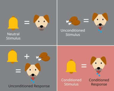 classical conditioning or Pavlovian or respondent conditioning for learning new stimulus