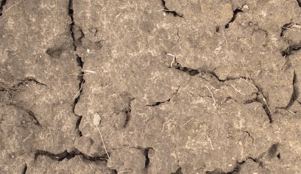 Surface of a grungy dry cracking earth for textural background. — Stock Photo, Image