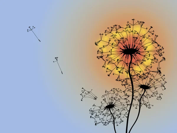 Dandelion in summer sun background — Stock Vector