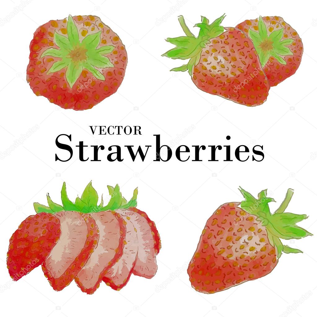 Watercolor strawberries set