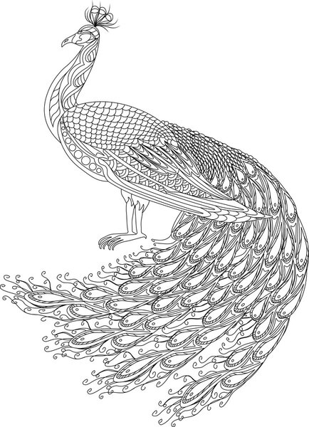 Hand drawn Peacock for anti stress Coloring Page with high details, isolated on white background, illustration in zentangle style. Vector monochrome sketch. Curly tale.