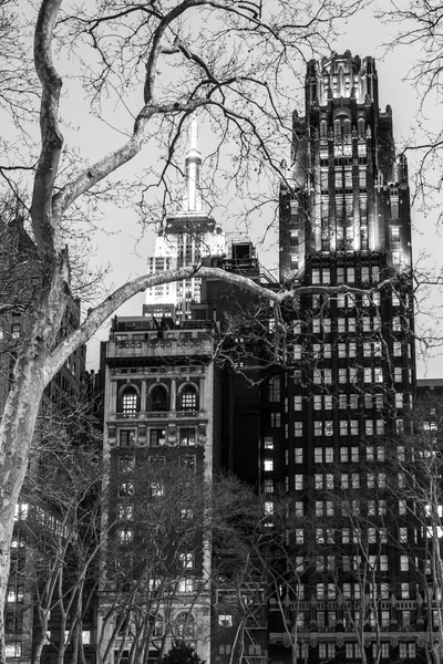 Černé a bílé stromy a Empire State building — Stock fotografie