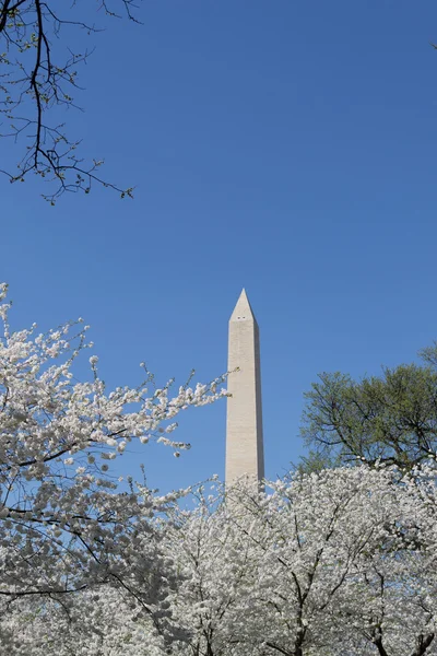 Memorial de Washington com flores brancas — Fotografia de Stock