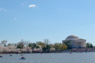 Thomas Jefferson Memorial Cherry blossom Festivali sırasında