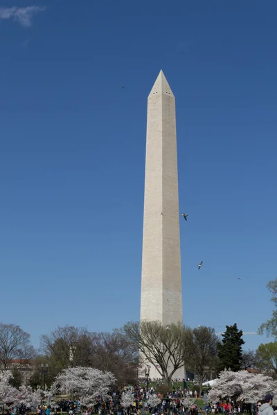 Voando em torno do Memorial de Washington — Fotografia de Stock
