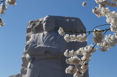 Martin Luther King ve çiçekler
