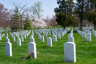 Arlington mezarlığı graves