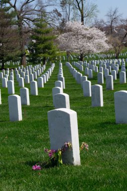 Arlington mezarlığı mıyım