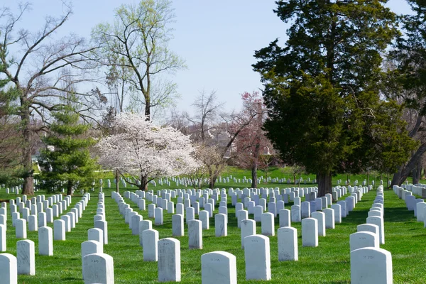 Grabsteine auf dem Friedhof von Arlington — Stockfoto