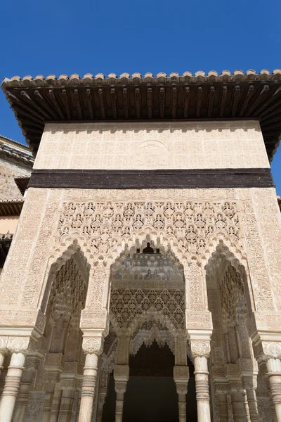 Taş gözlemleyerek