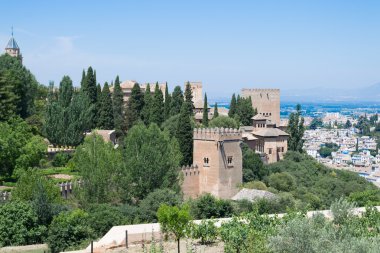 Alhambra ağaçları arasında