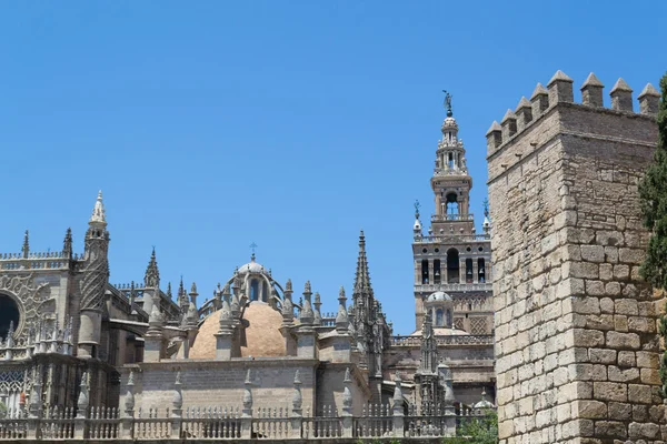 Cattedrale di Santa Maria de la Sede e Giralda — Foto Stock