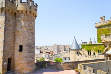 Olite kale tepesine