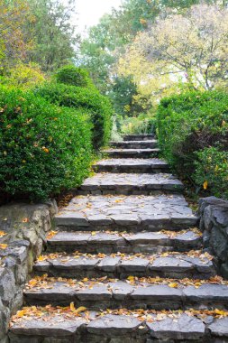 Ramble merdivenlerde