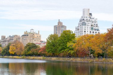 Derma ağaçların bulutların altında