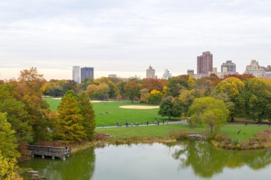 Beyzbol elmas ha büyük çim Central Park
