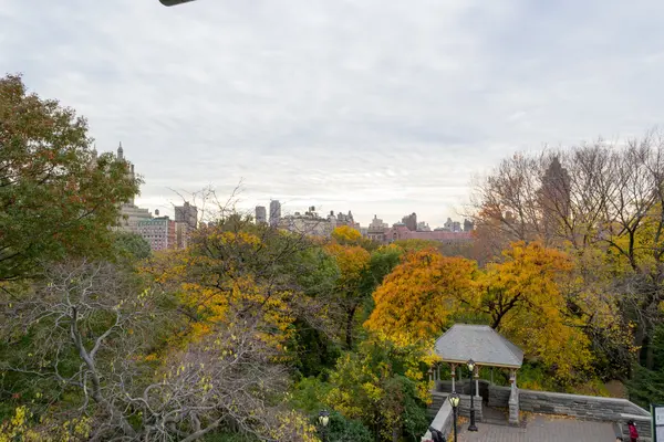 Central Park'ta renkleri — Stok fotoğraf