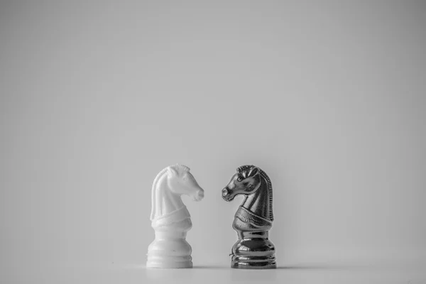 birbirine bakan iki at