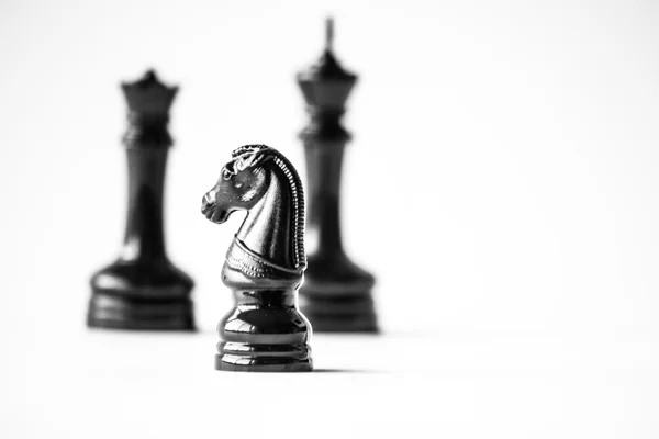 Шахматный конь — стоковое фото