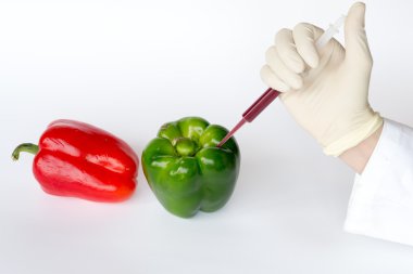 Biber içine enjeksiyon