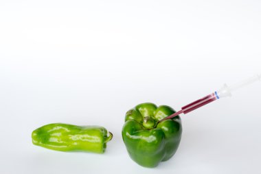 Genetik modifikasyon biber