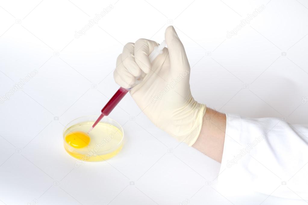 depositphotos_99229134-stock-photo-egg-injection-with-a-syringe.jpg