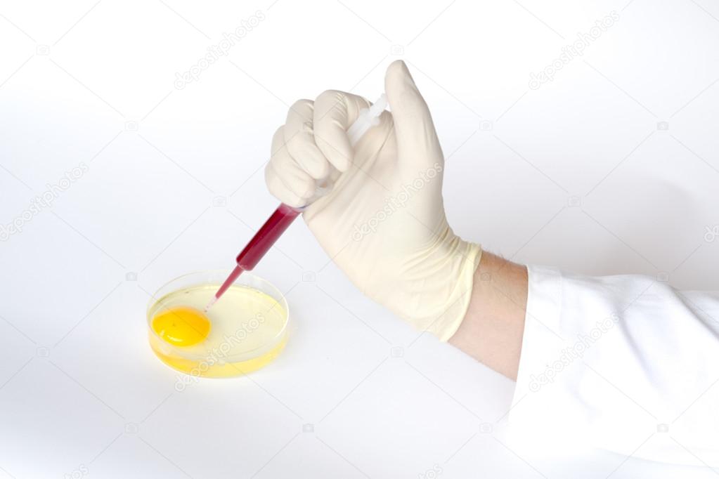 Egg injection with a syringe